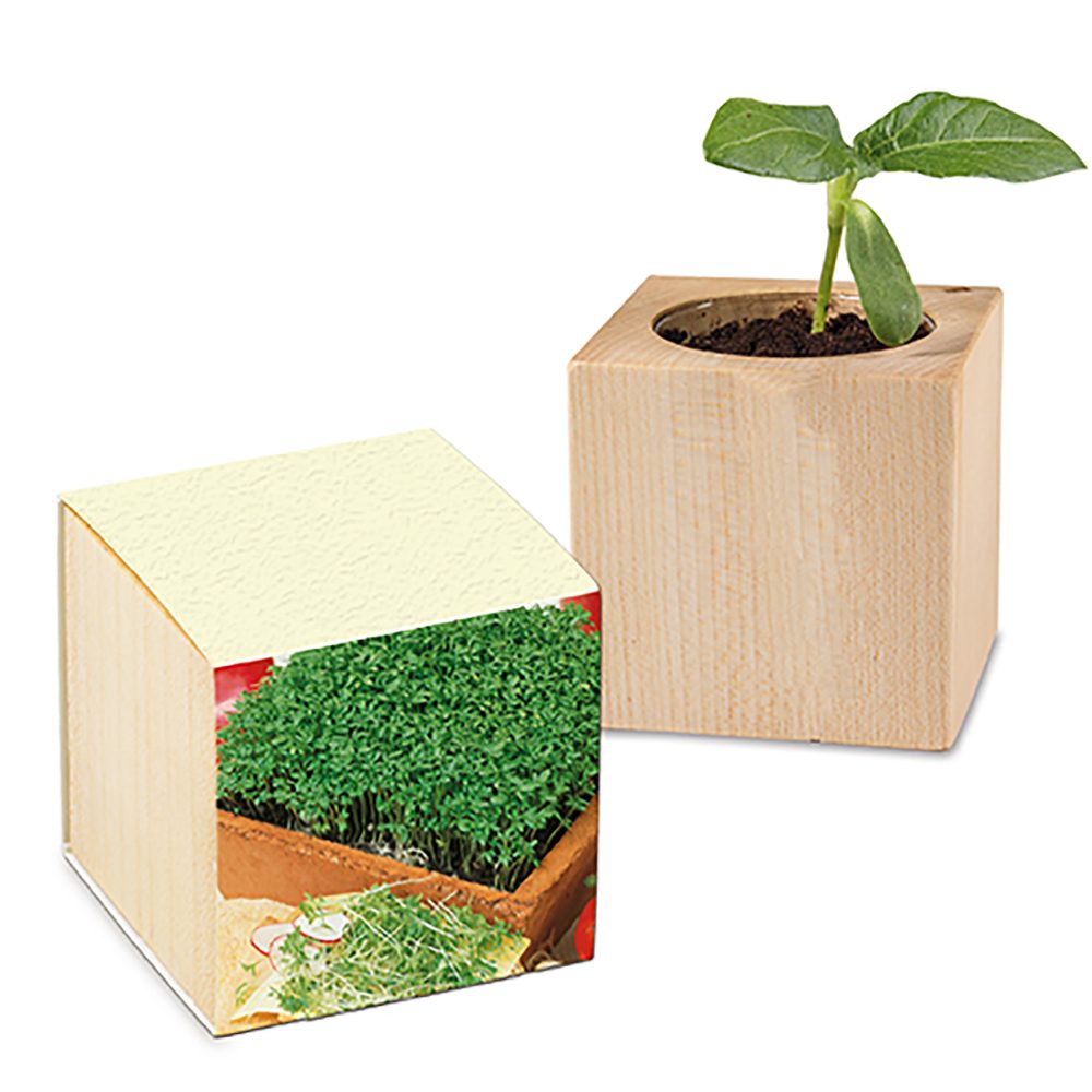 Pflanz-Holz mit Samen (Graspapier-Banderole), Gartenkresse