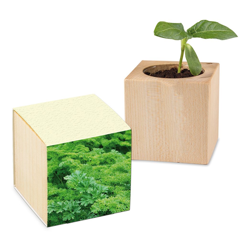 Pflanz-Holz mit Samen (Graspapier-Banderole), Petersilie