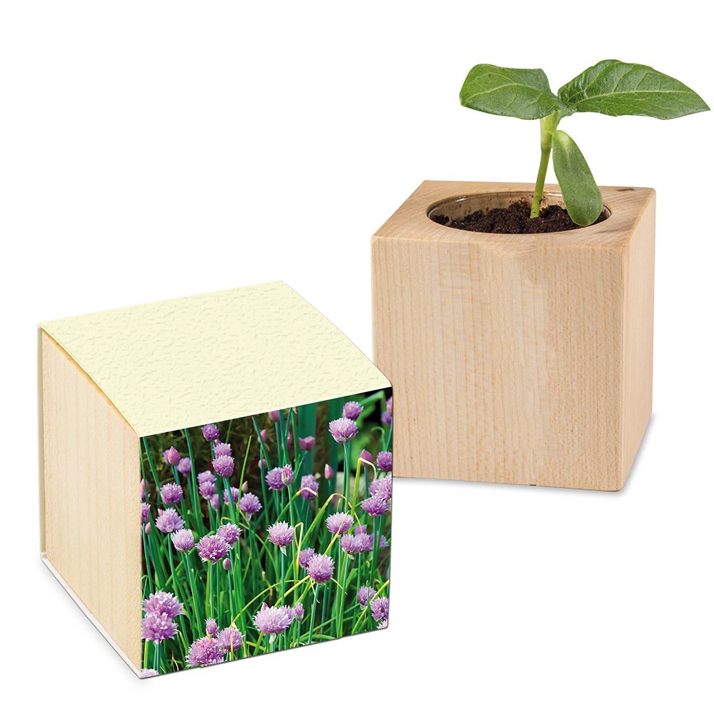 Pflanz-Holz mit Samen (Graspapier-Banderole), Schnittlauch