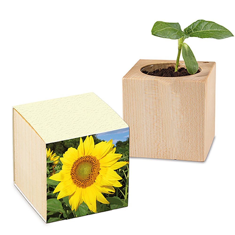 Pflanz-Holz mit Samen (Graspapier-Banderole), Sonnenblume