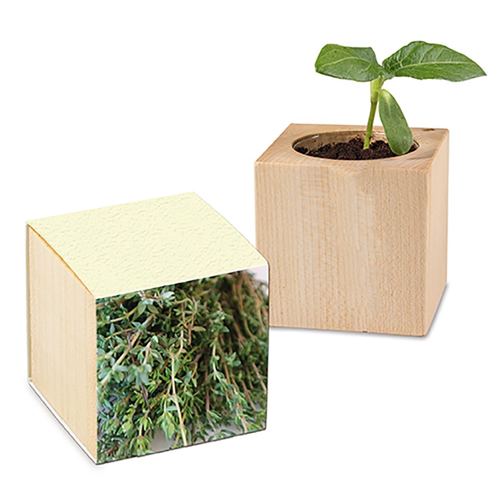 Pflanz-Holz mit Samen (Graspapier-Banderole), Thymian