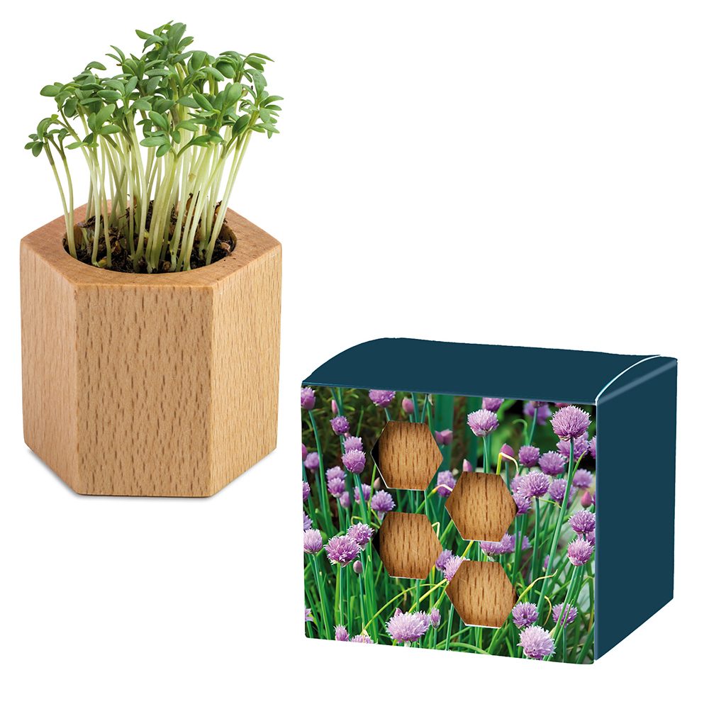 Pflanz-Holz Hexagon mit Samen, Schnittlauch