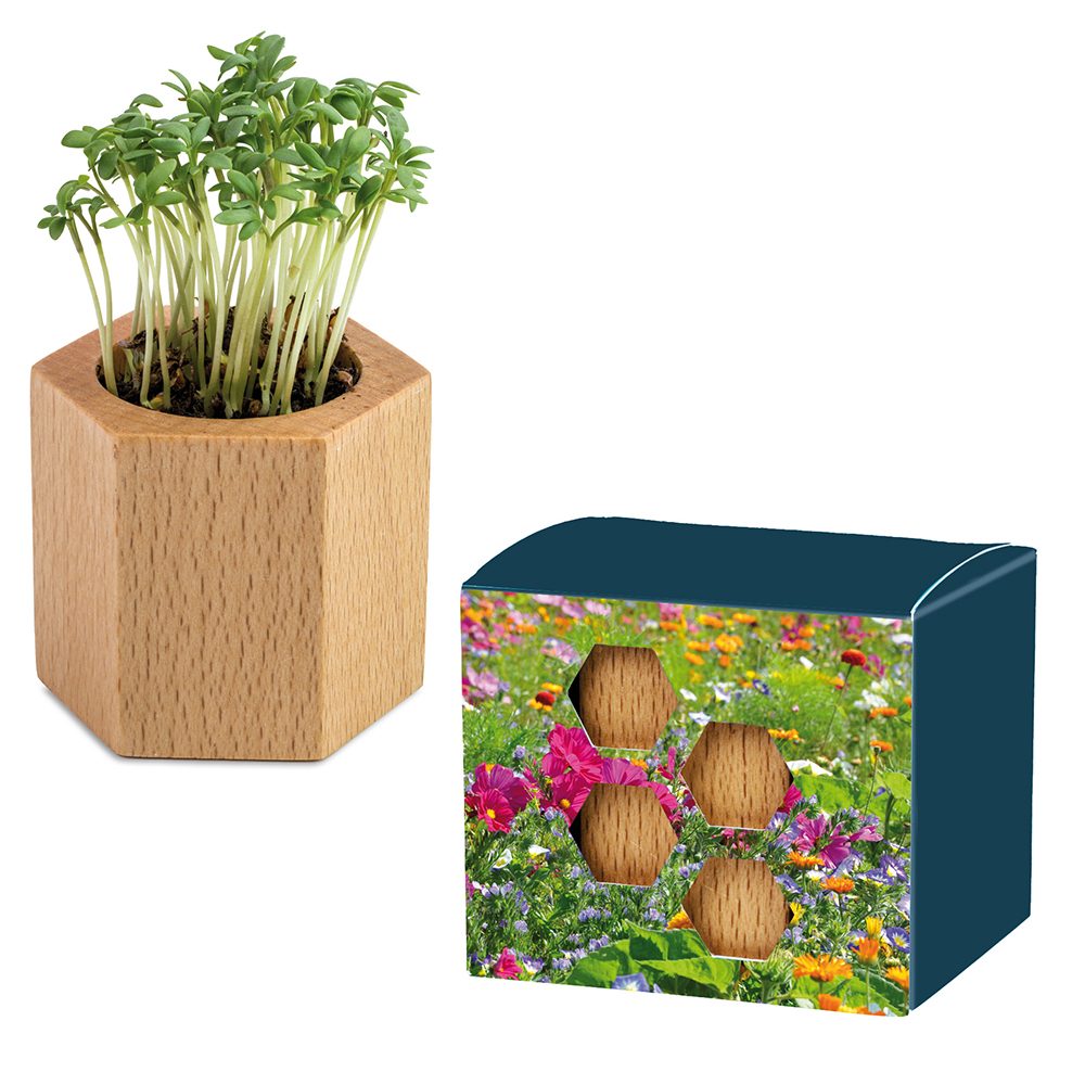 Pflanz-Holz Hexagon mit Samen, Sommerblumenmischung