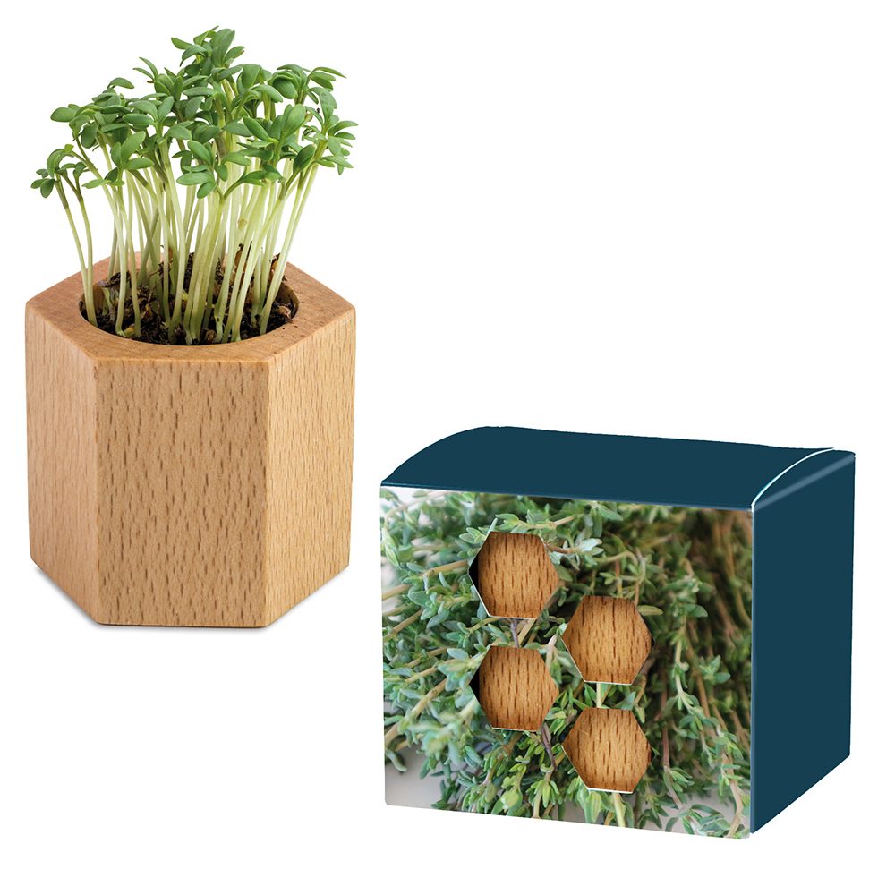 Pflanz-Holz Hexagon mit Samen, Thymian