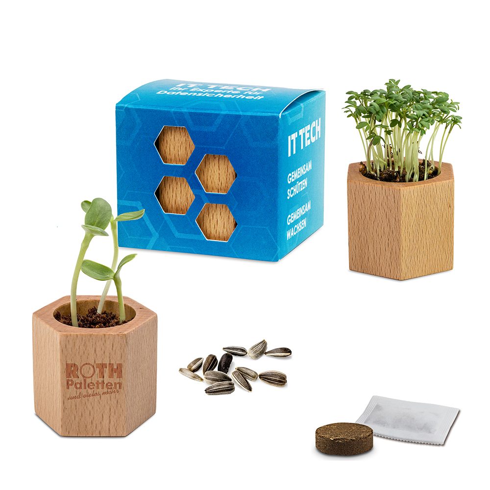 Pflanz-Holz Hexagon mit Samen, emotion factory