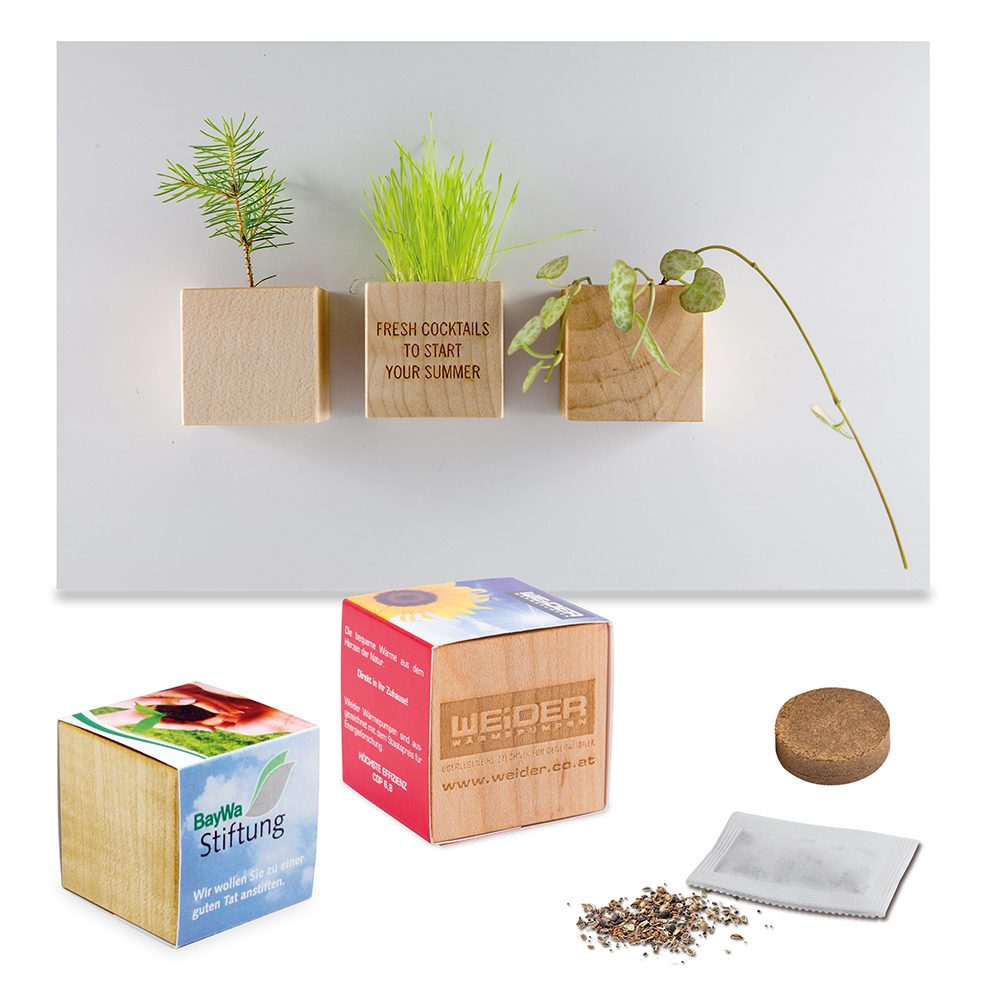 Pflanz-Holz Magnet mit Samen, emotion factory
