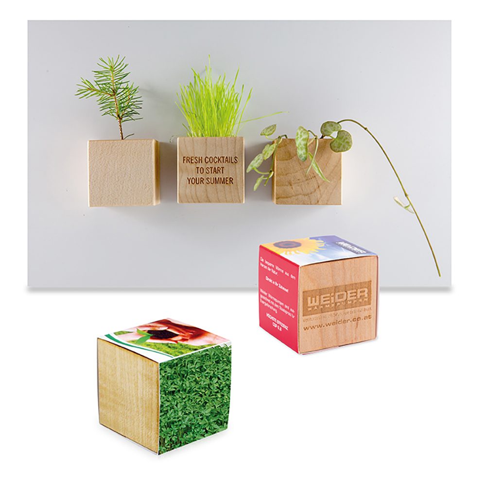 Pflanz-Holz Magnet mit Samen, Gartenkresse