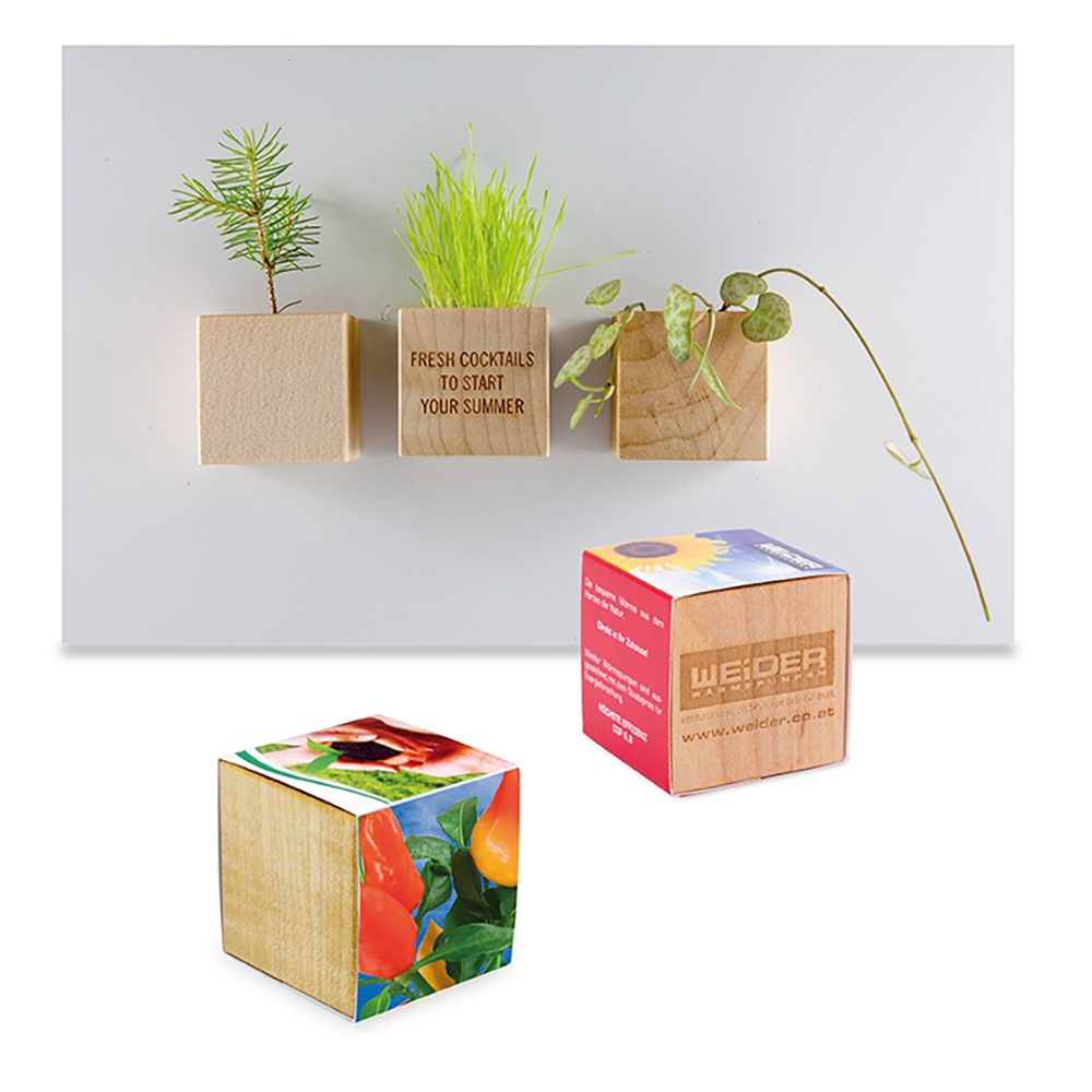 Pflanz-Holz Magnet mit Samen, Gewürzpaprika