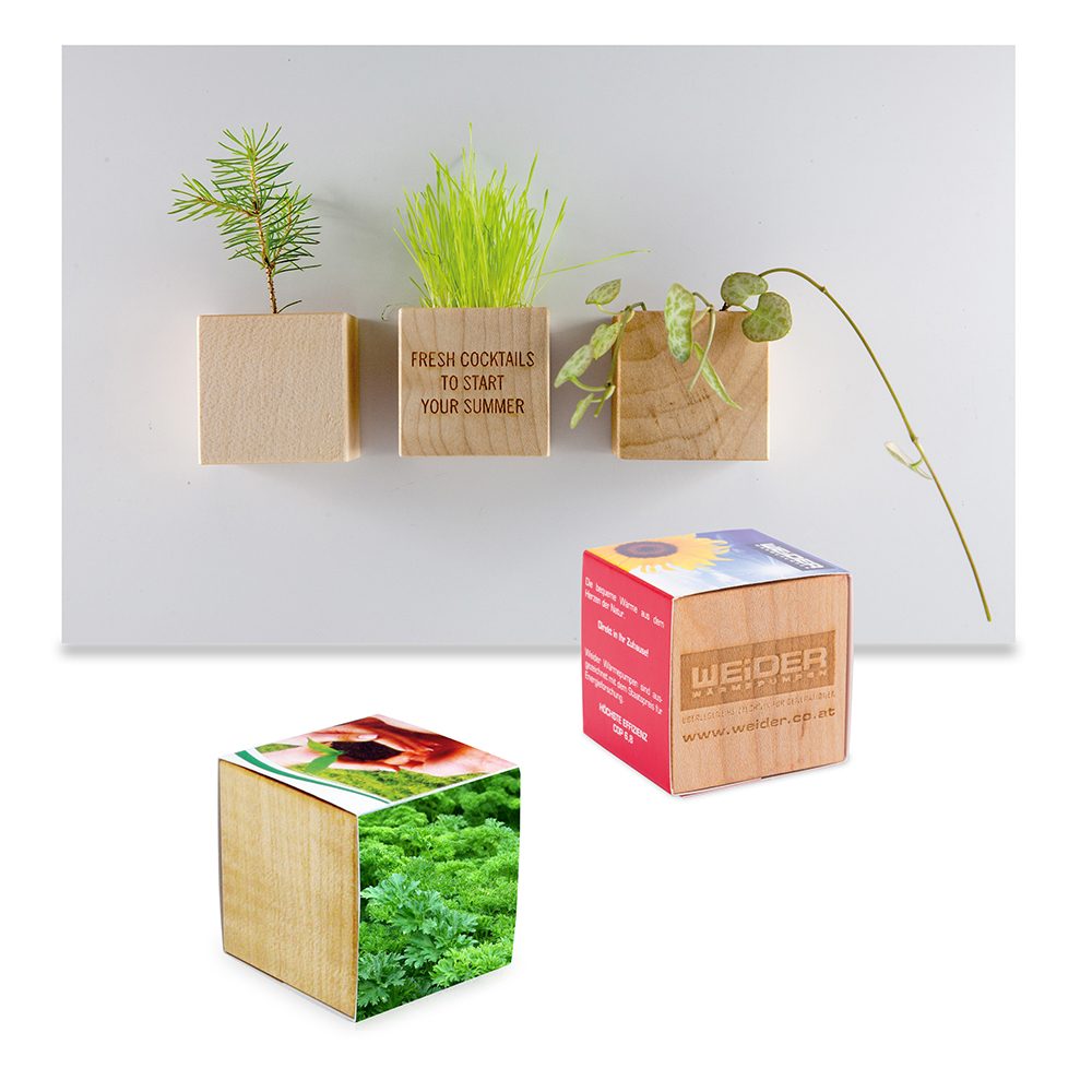 Pflanz-Holz Magnet mit Samen, Schnittlauch