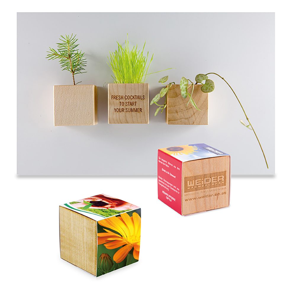 Pflanz-Holz Magnet mit Samen, Ringelblume