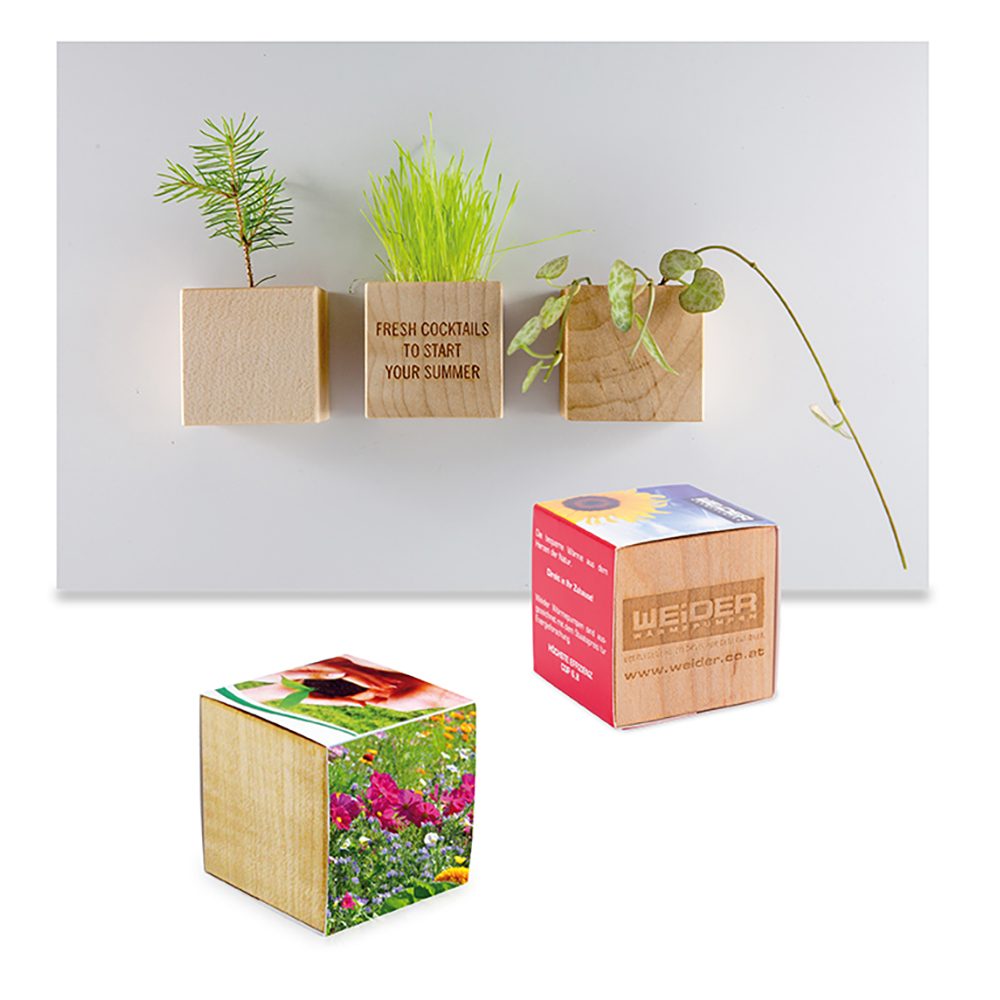 Pflanz-Holz Magnet mit Samen, Sommerblumenmischung