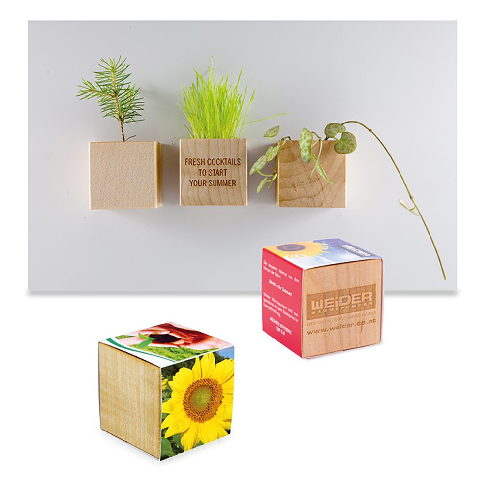Pflanz-Holz Magnet mit Samen, Sonnenblume