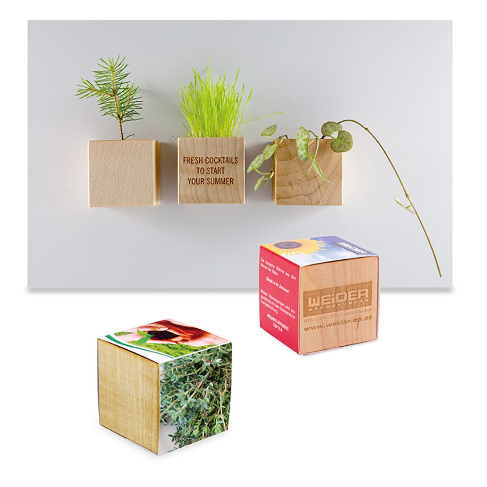Pflanz-Holz Magnet mit Samen, Thymian