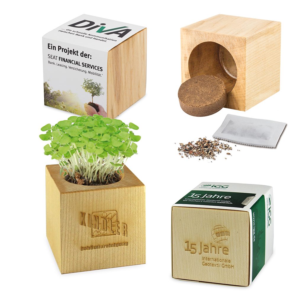 Pflanz-Holz Maxi mit Samen, emotion factory
