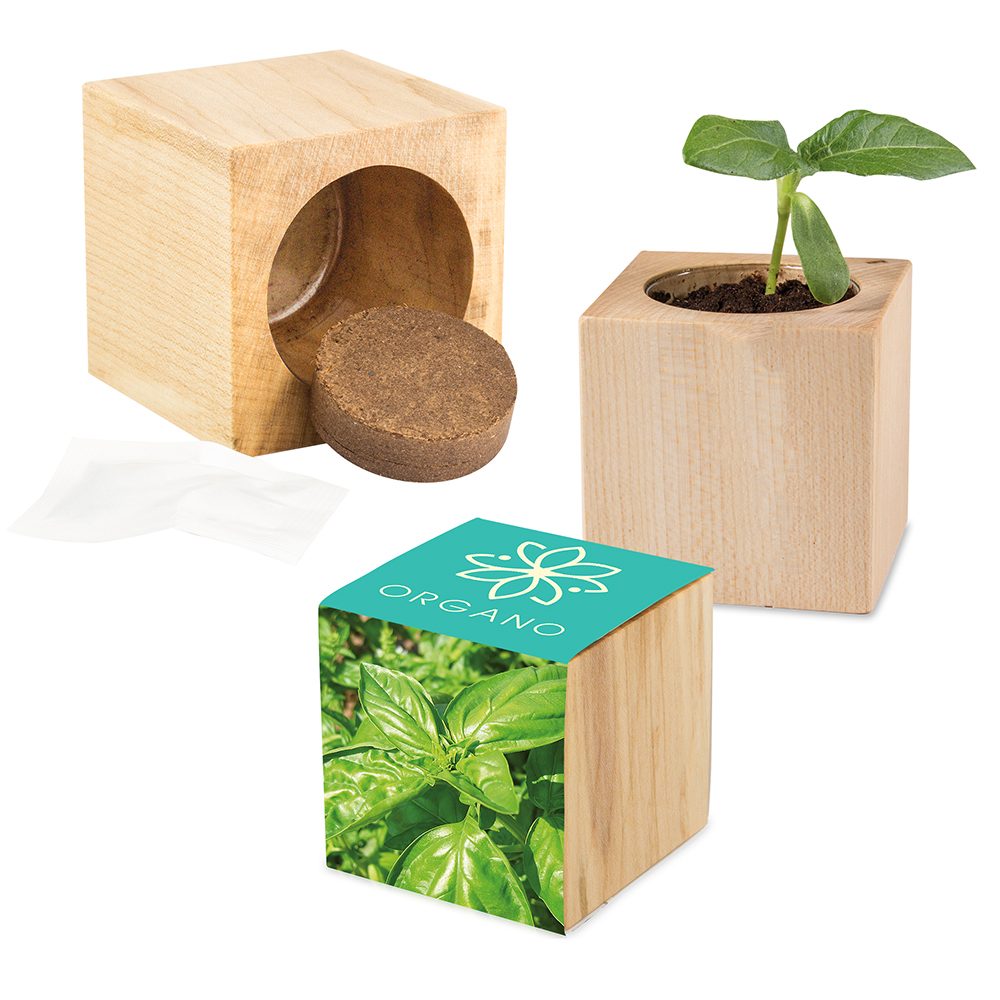 Pflanz-Holz Maxi mit Samen, Basilikum