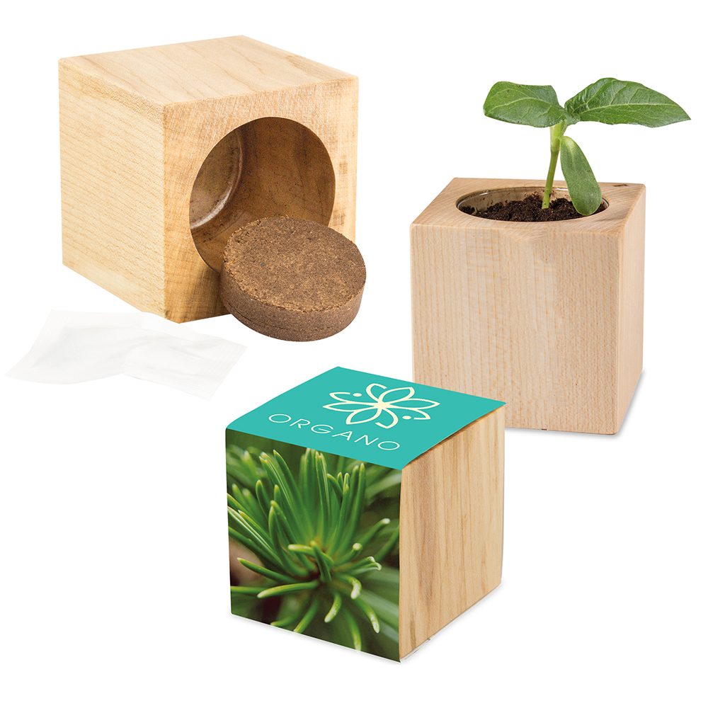 Pflanz-Holz Maxi mit Samen, Fichte