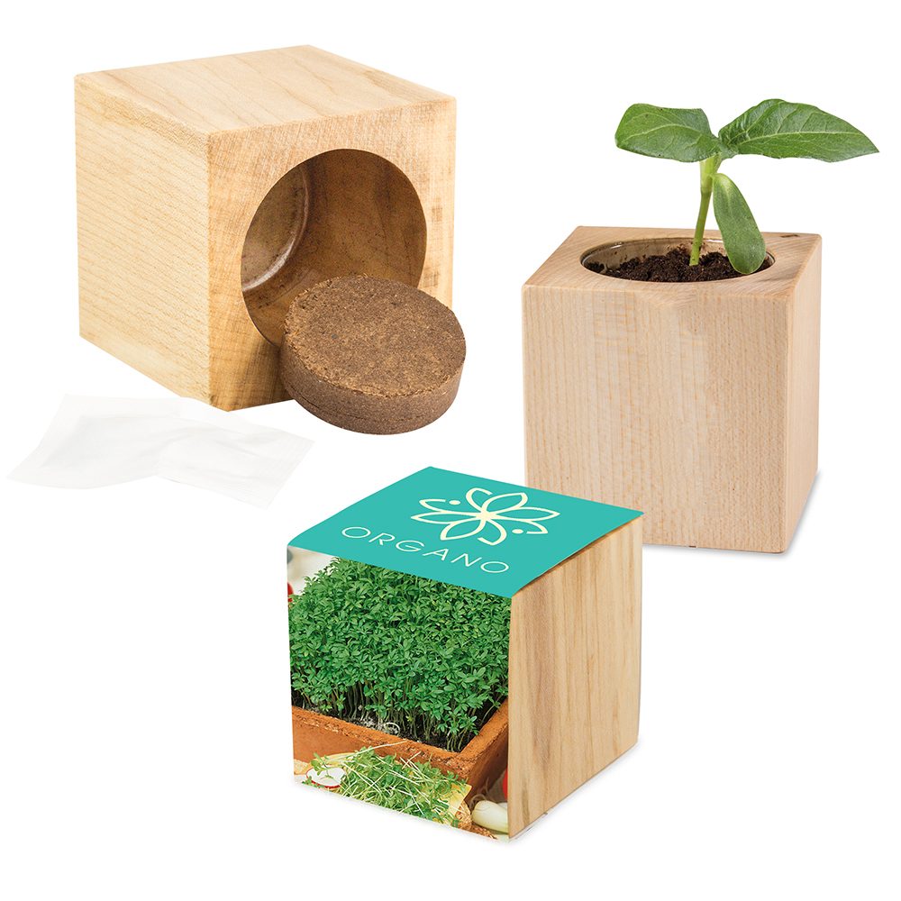 Pflanz-Holz Maxi mit Samen, Gartenkresse