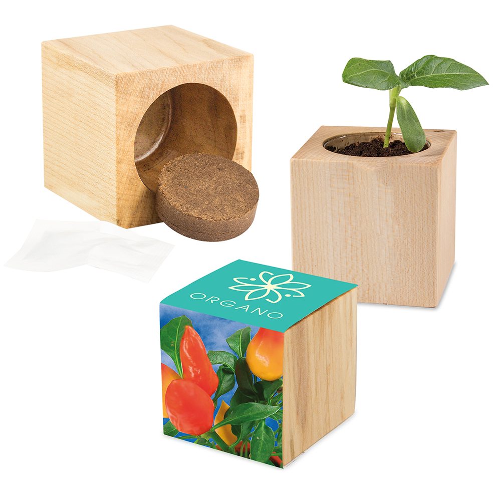 Pflanz-Holz Maxi mit Samen, Gewürzpaprika