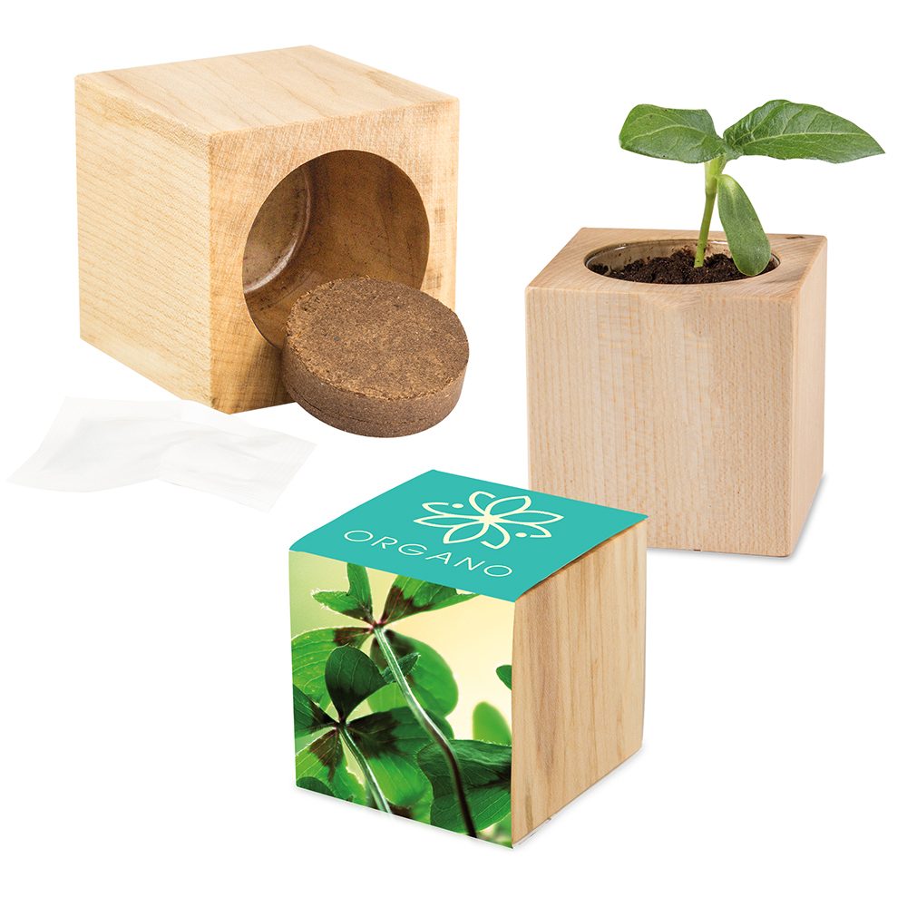 Pflanz-Holz Maxi mit Samen, Glücksklee-Zwiebel (* Je nach Verfügbarkeit der Glücksklee-Zwiebeln)