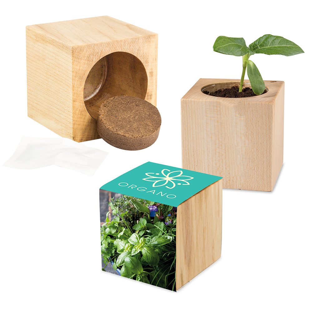 Pflanz-Holz Maxi mit Samen, Kräutermischung