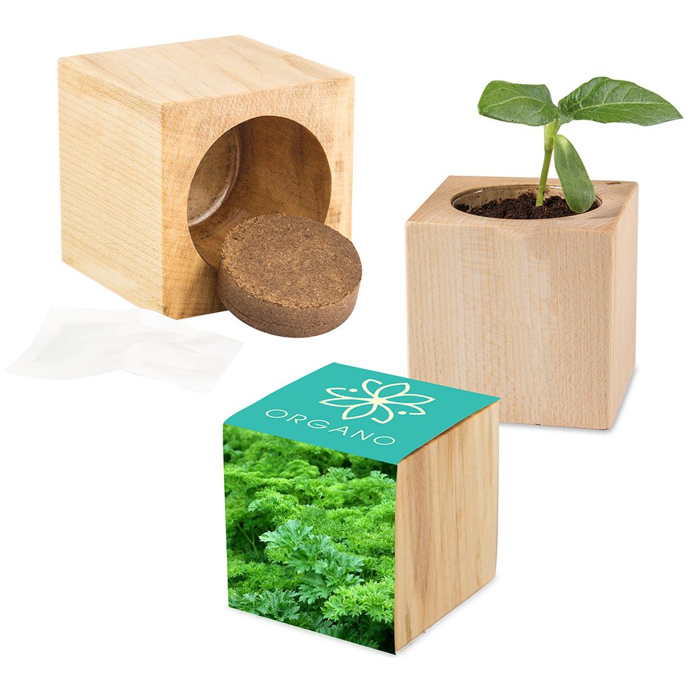 Pflanz-Holz Maxi mit Samen, Petersilie