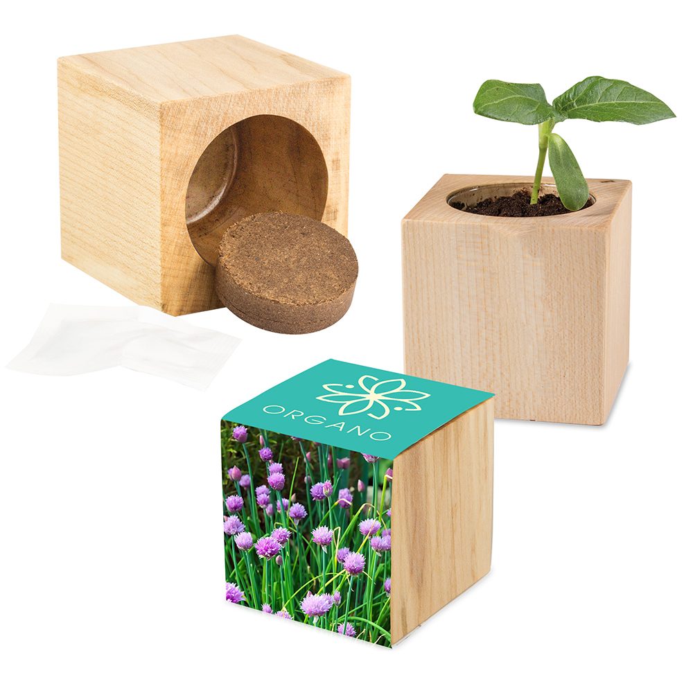 Pflanz-Holz Maxi mit Samen, Schnittlauch