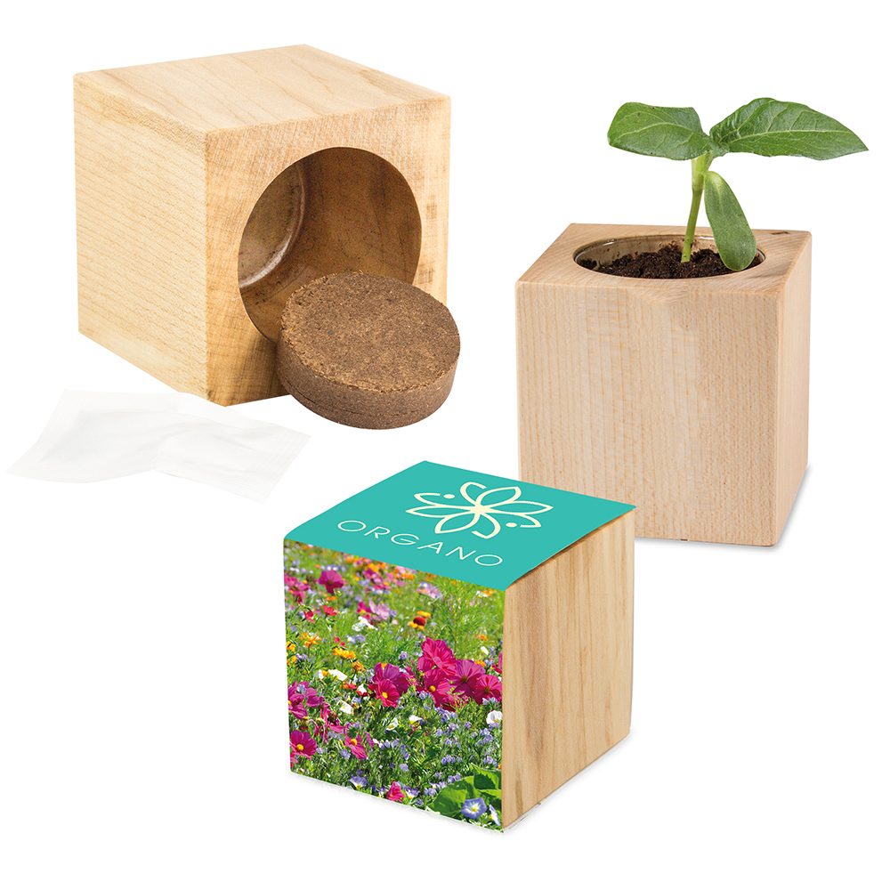 Pflanz-Holz Maxi mit Samen, Sommerblumenmischung