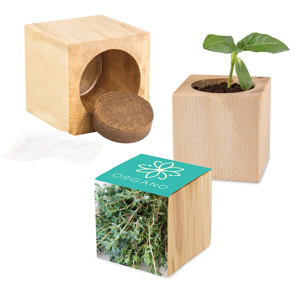 Pflanz-Holz Maxi mit Samen, Thymian
