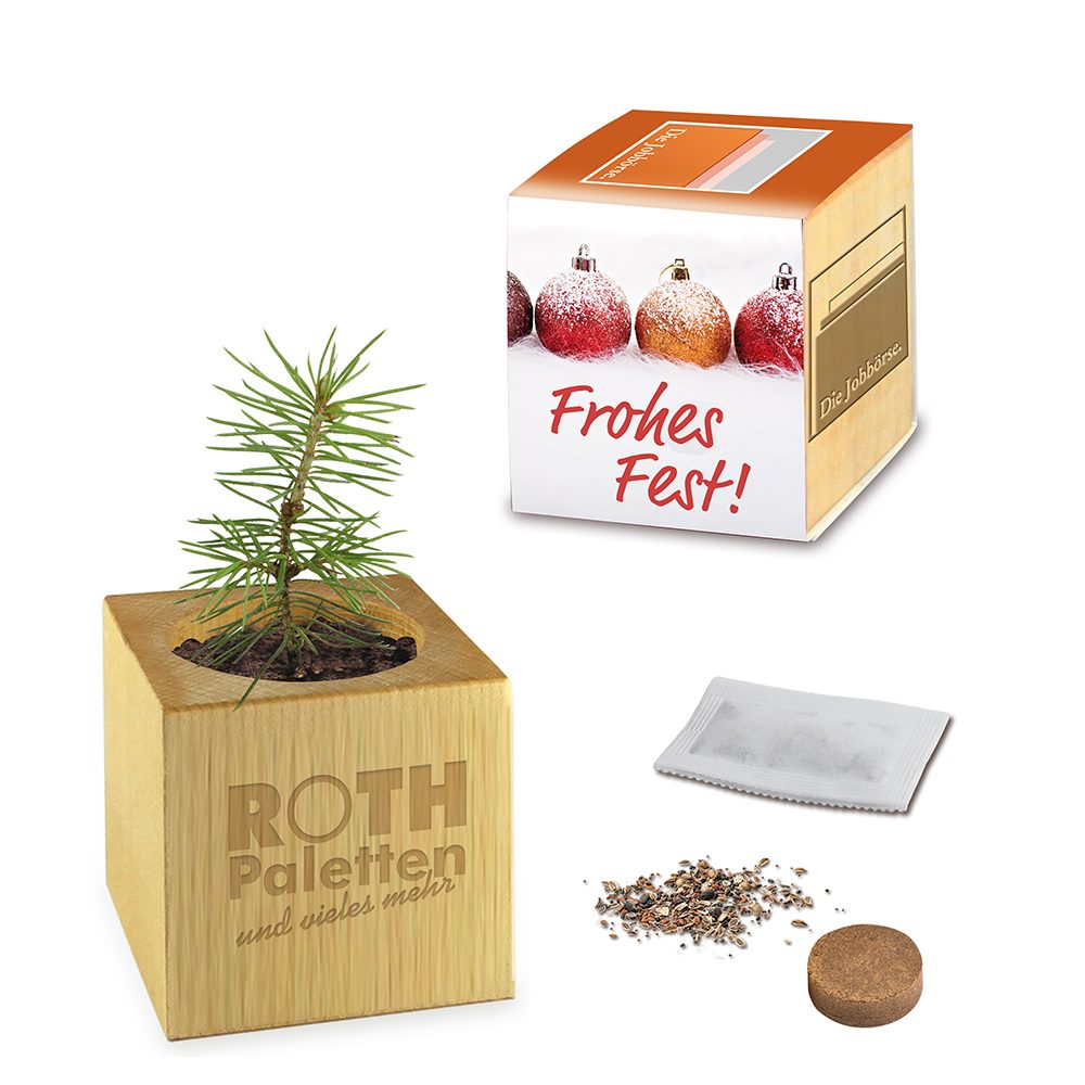 Pflanz-Holz Maxi Xmas mit Fichtensamen, emotion factory