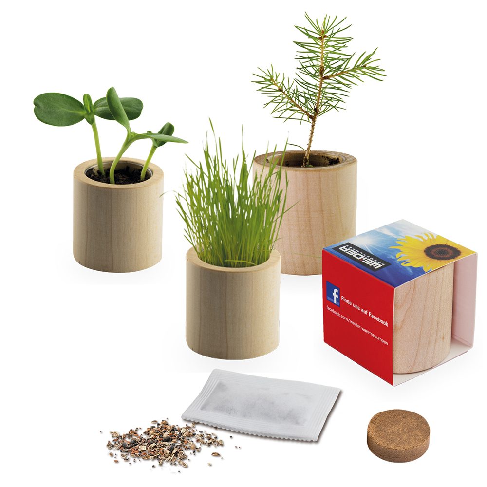 Pflanz-Holz rund mit Samen, emotion factory