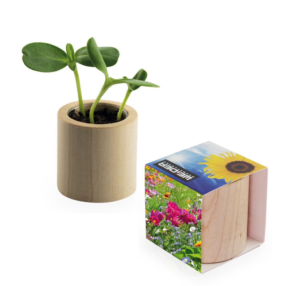 Pflanz-Holz rund mit Samen, Sommerblumenmischung