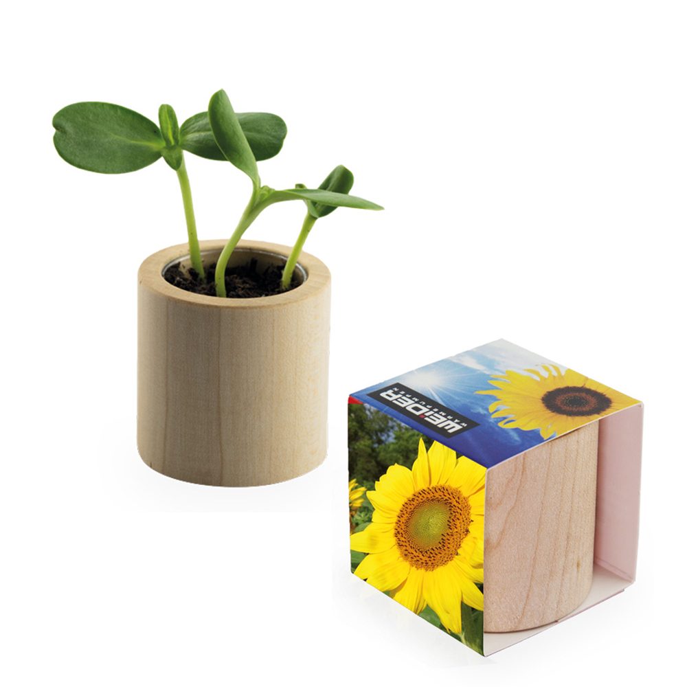 Pflanz-Holz rund mit Samen, Sonnenblume, Lasergravur