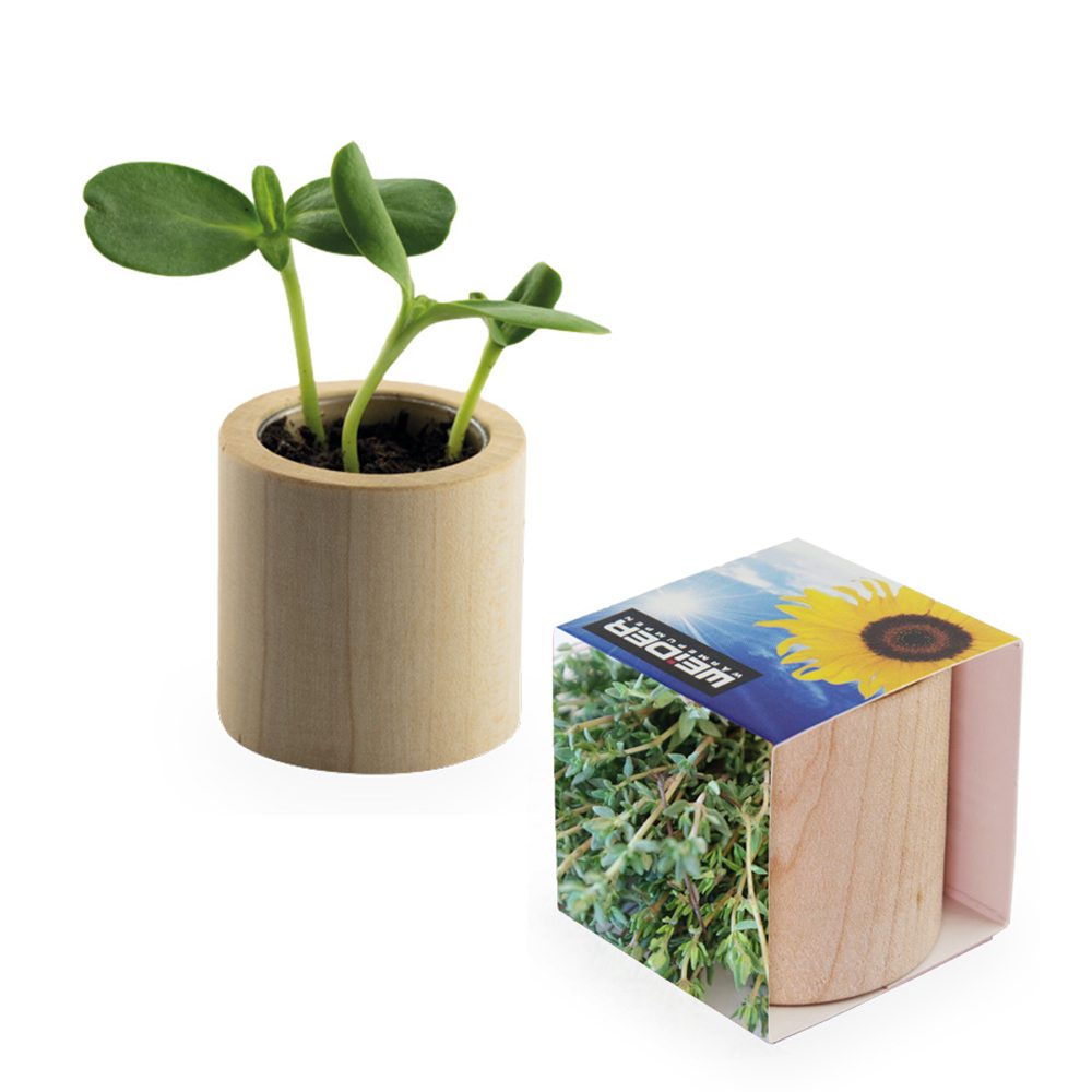 Pflanz-Holz rund mit Samen, Thymian, Lasergravur