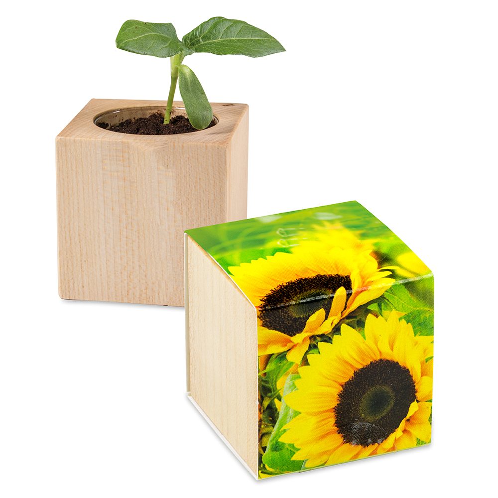 Pflanz-Holz - Standardmotiv - Sonnenblume, 1 Seite gelasert