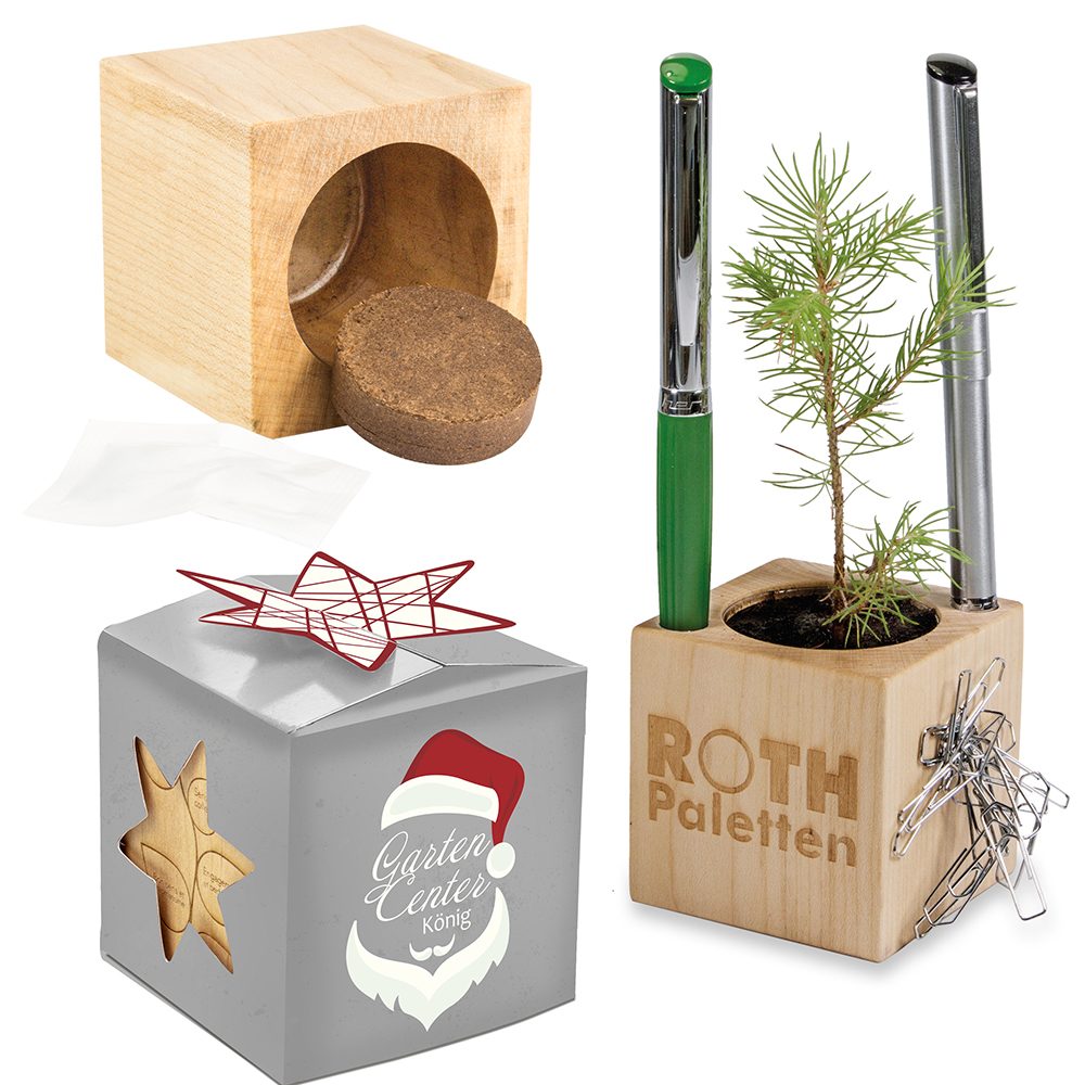 Pflanz-Holz Büro Star-Box Xmas mit Fichtensamen, emotion factory