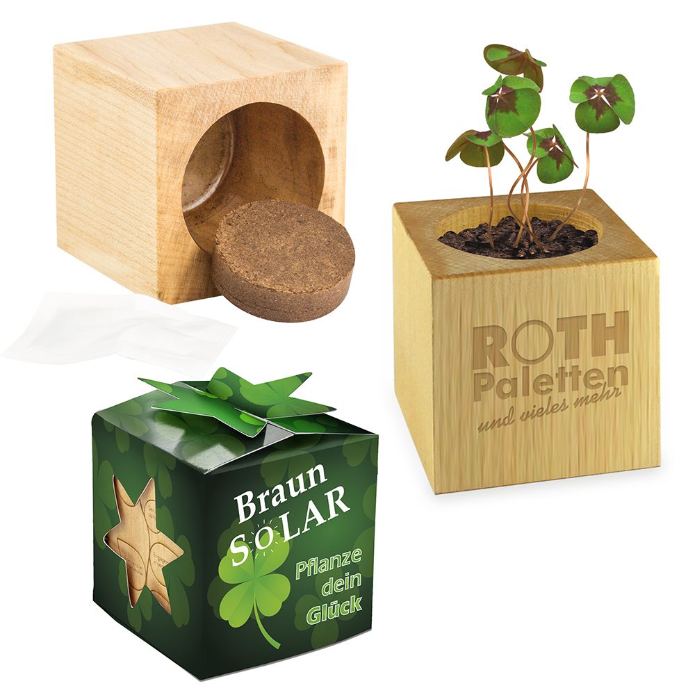 Pflanz-Holz Star-Box mit Samen, Glücksklee-Zwiebel (* Je nach Verfügbarkeit der Glücksklee-Zwiebeln)