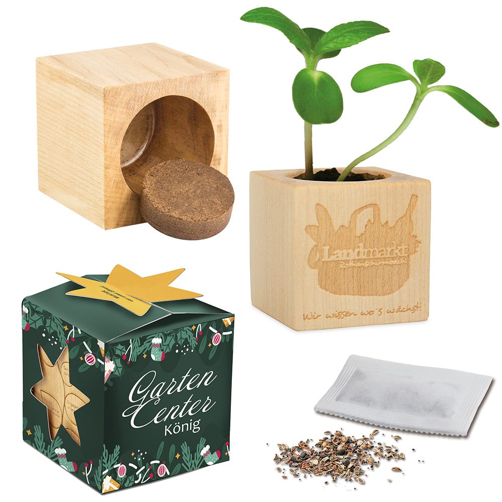 Pflanz-Holz Maxi Star-Box mit Samen, emotion factory