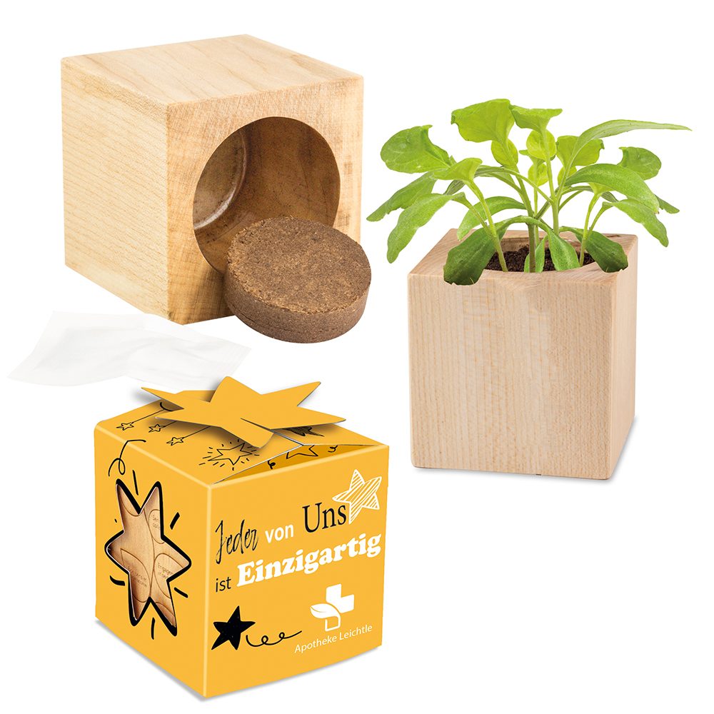 Pflanz-Holz Star-Box mit Samen, emotion factory