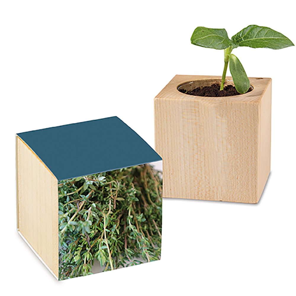 Pflanz-Holz mit Samen, Thymian