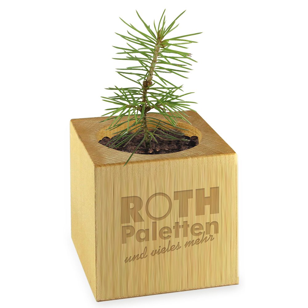 Pflanz-Holz - Standardmotiv - Frohe Weihnachten, 1 Seite gelasert