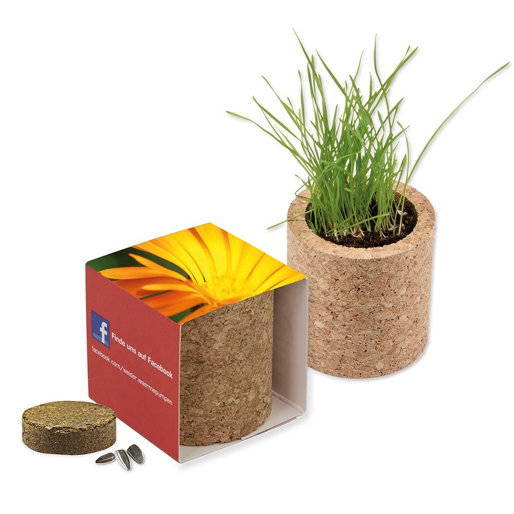 Pflanz-Kork rund mit Samen, Ringelblume