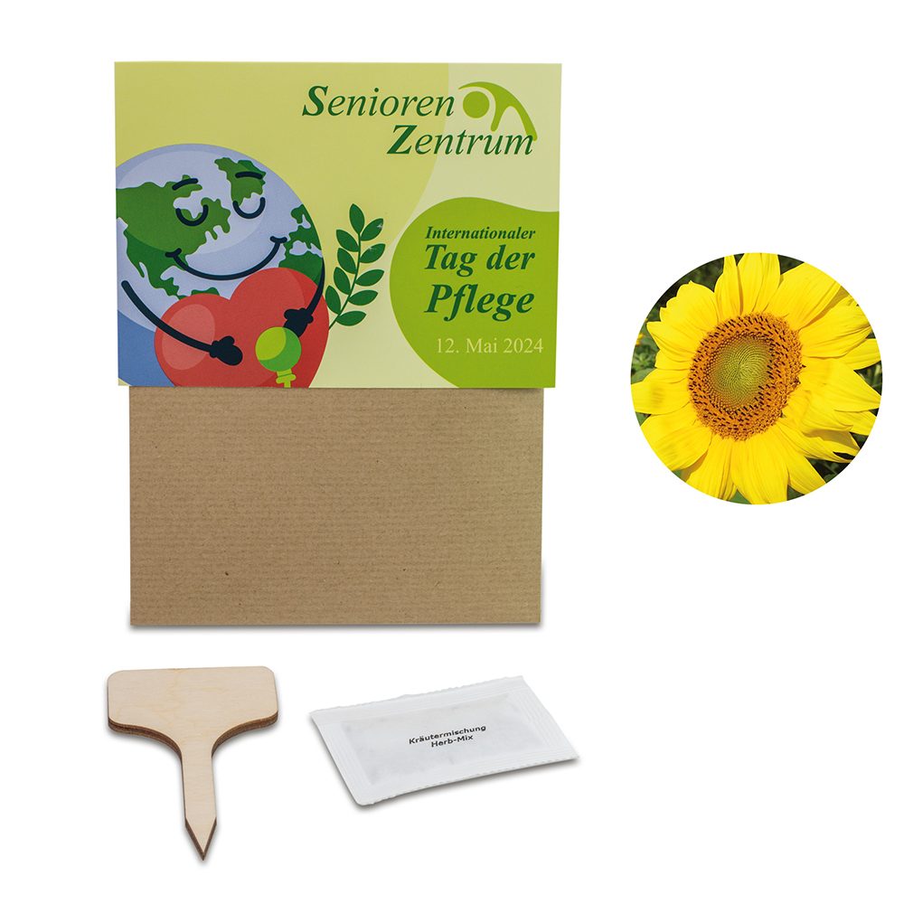 Pflanz-Set, 2er-Set - Sonnenblume / Margerite