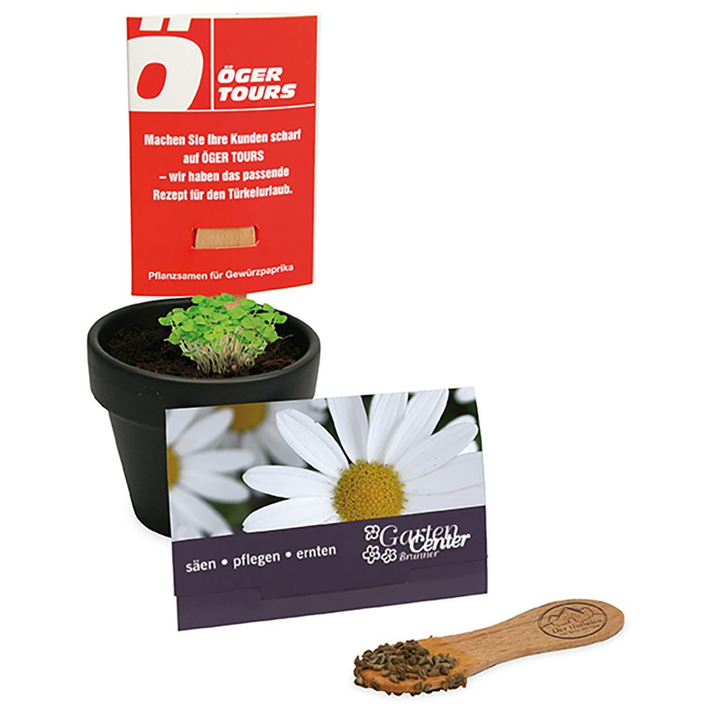 Pflanz-Stick mit Samen, Margerite