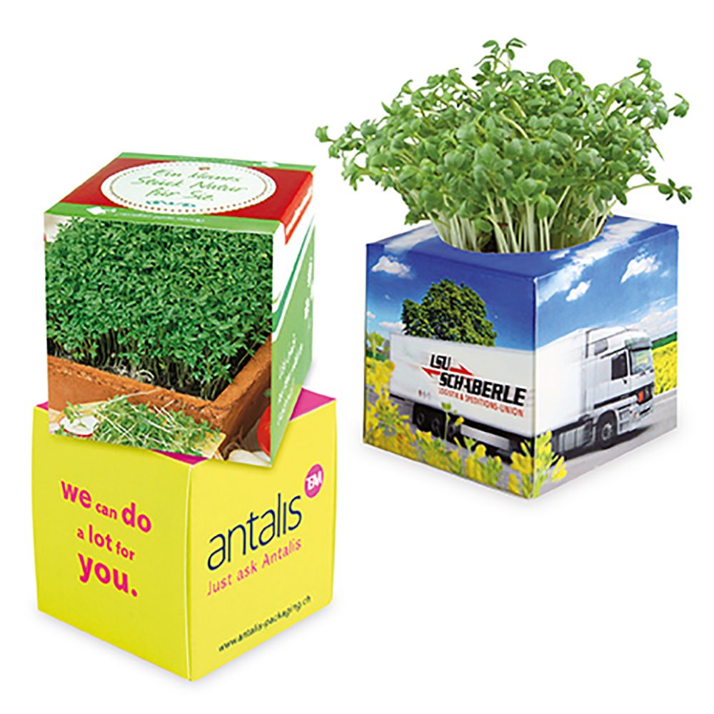 Pflanz-Würfel 2.0 mit Samen, Gartenkresse