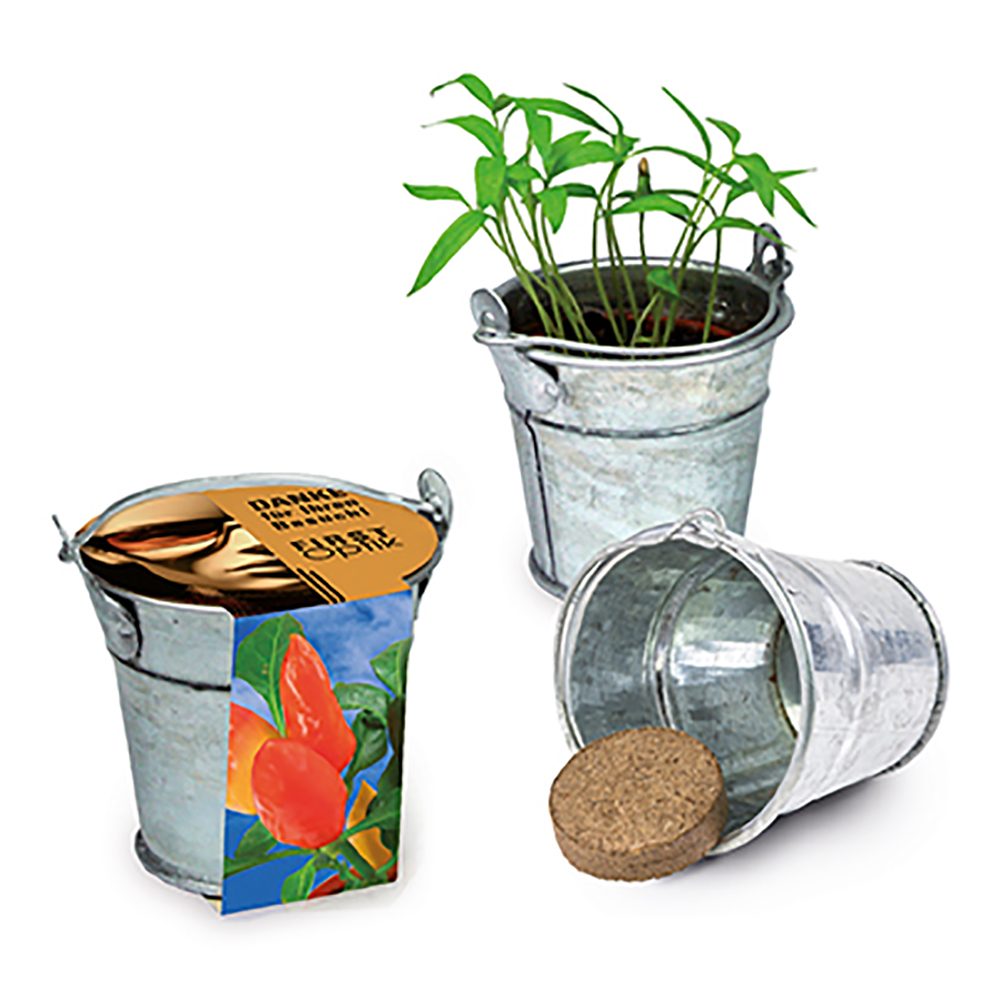 Pflanzeimerchen mit Samen, Gewürzpaprika