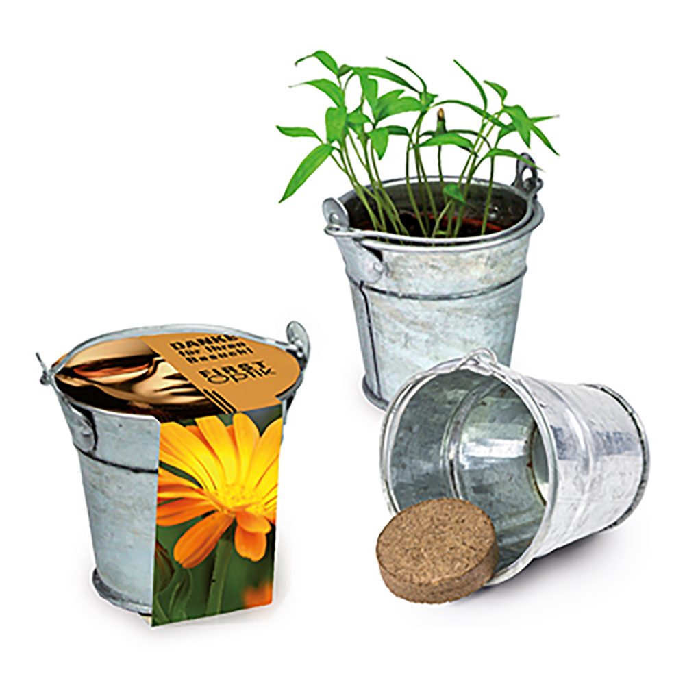 Pflanzeimerchen mit Samen, Ringelblume