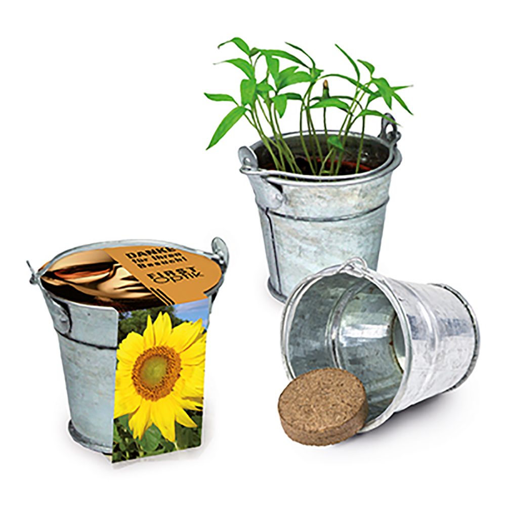 Pflanzeimerchen mit Samen, Sonnenblume