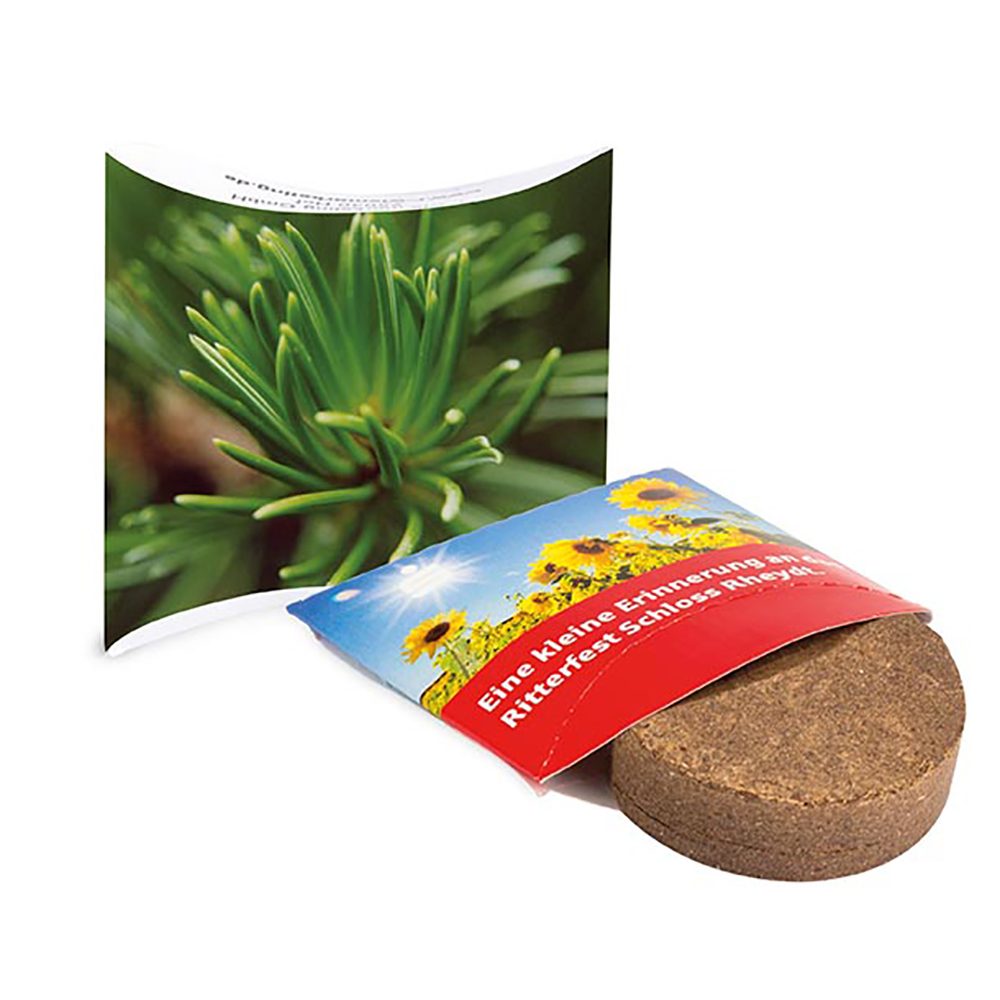 Plant-Tab mit Samen, Fichte