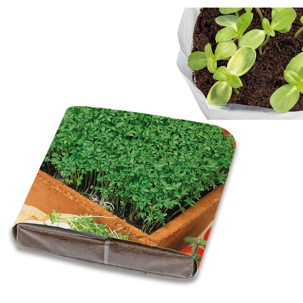 PopUp Anzuchterde mit Samen, Gartenkresse