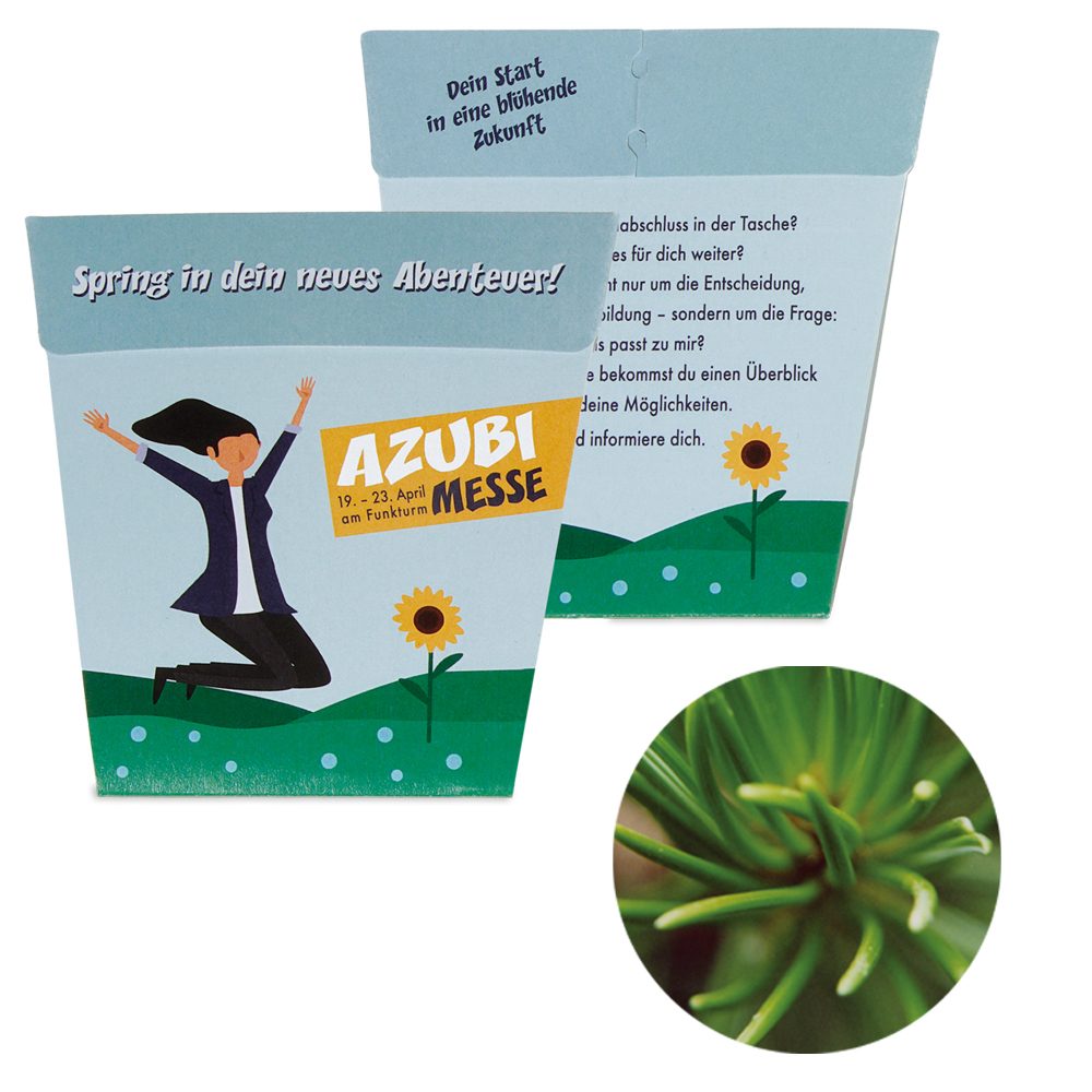POTTI Card - Samenset, Rotfichte